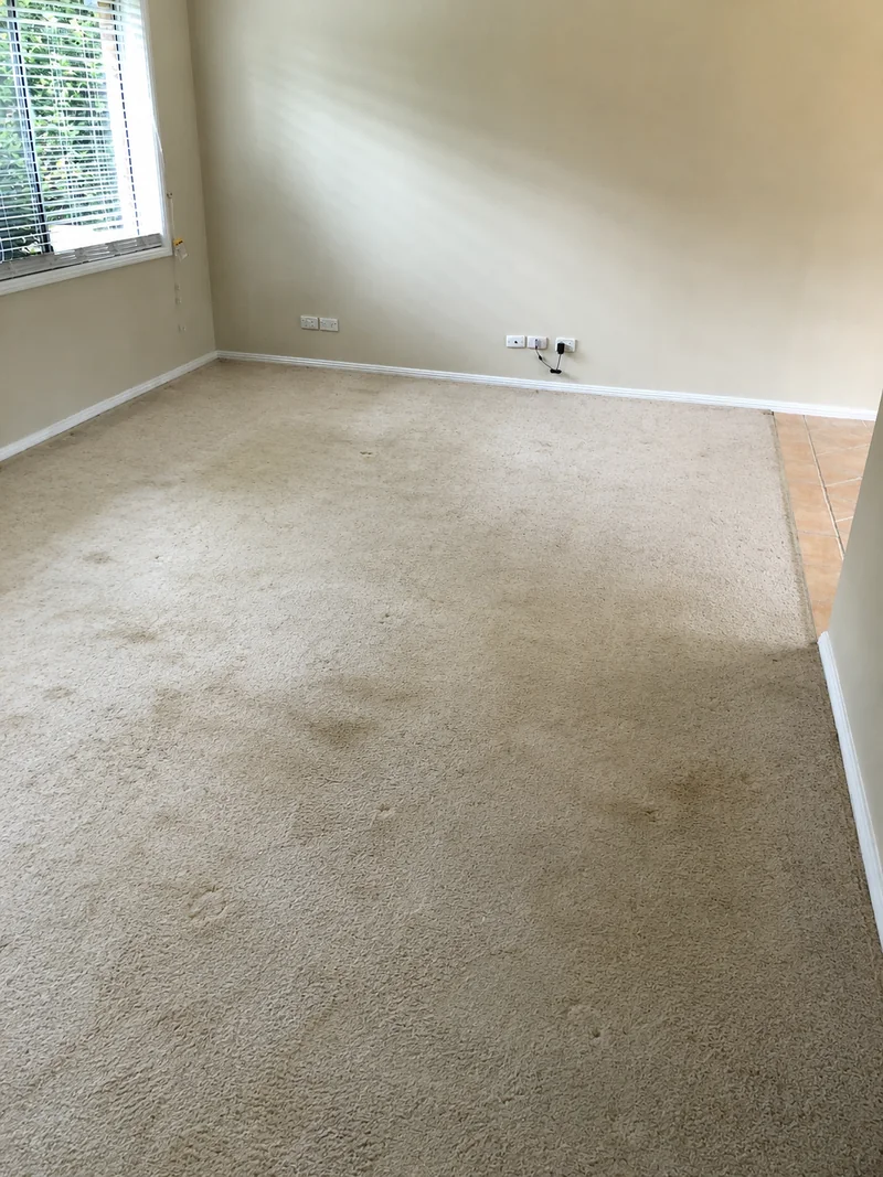 Original carpet before the flooring renovation in Castle Hill