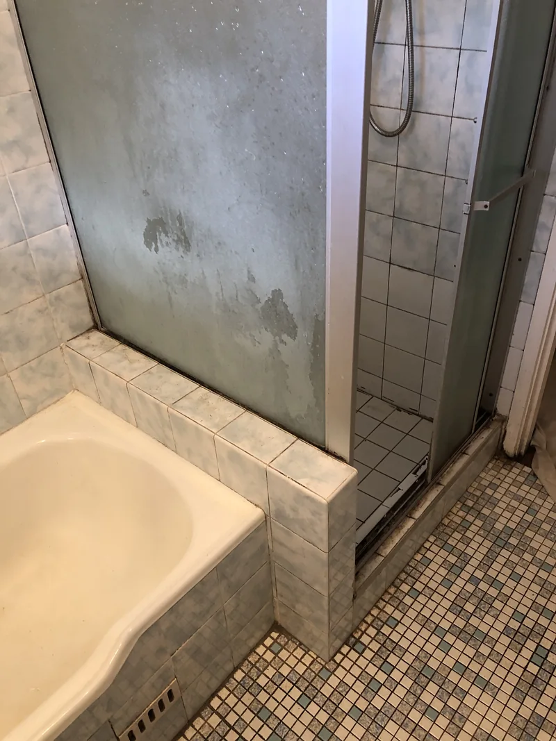 Bath and shower partition before renovation in North Gosford