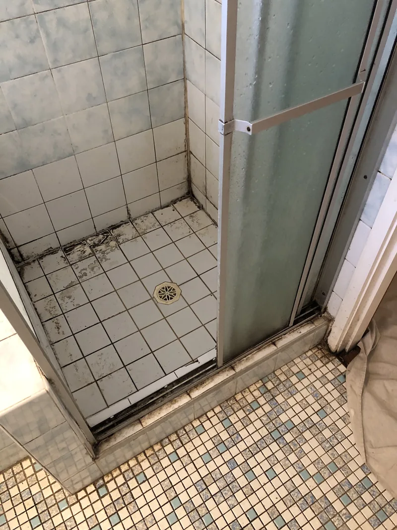 Shower before renovation in North Gosford